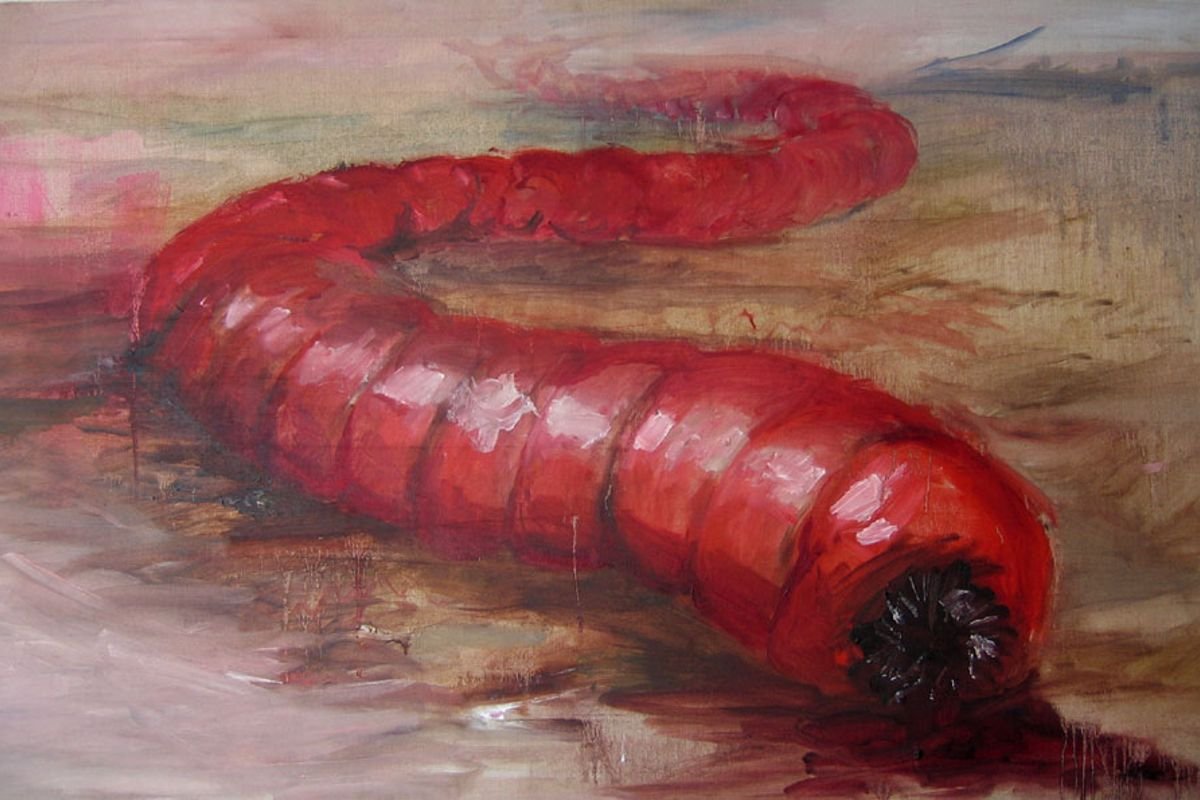 Mongolian Death Worm