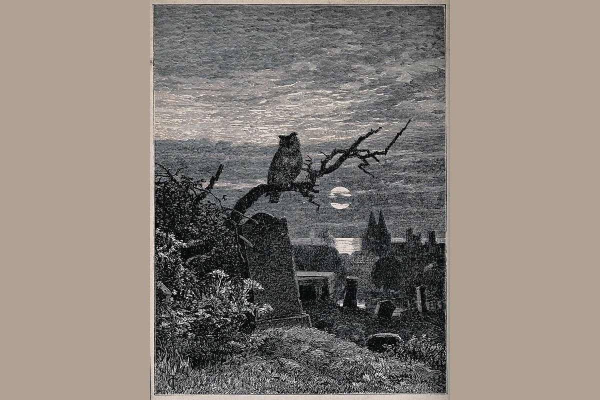 Owlman of Mawnan