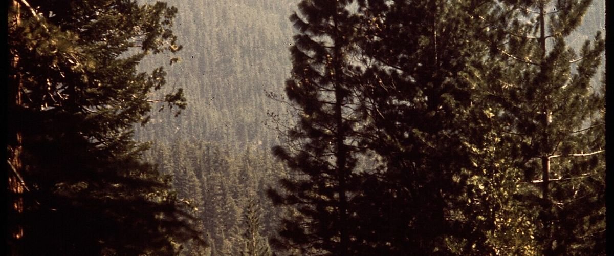 California landscape