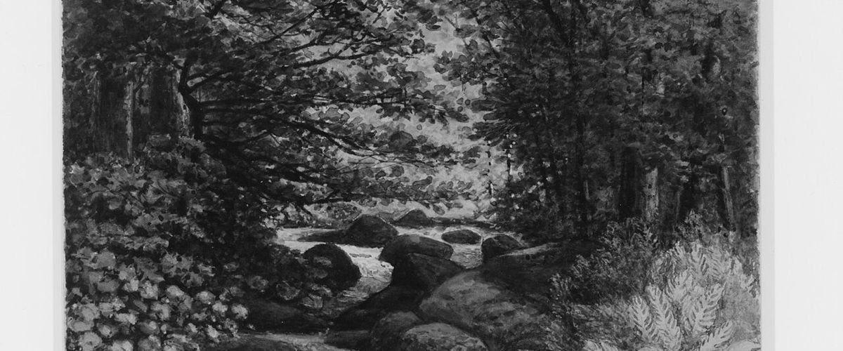 Maine landscape