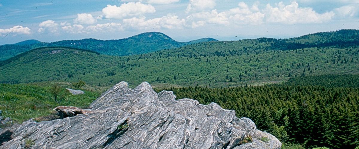 North Carolina landscape