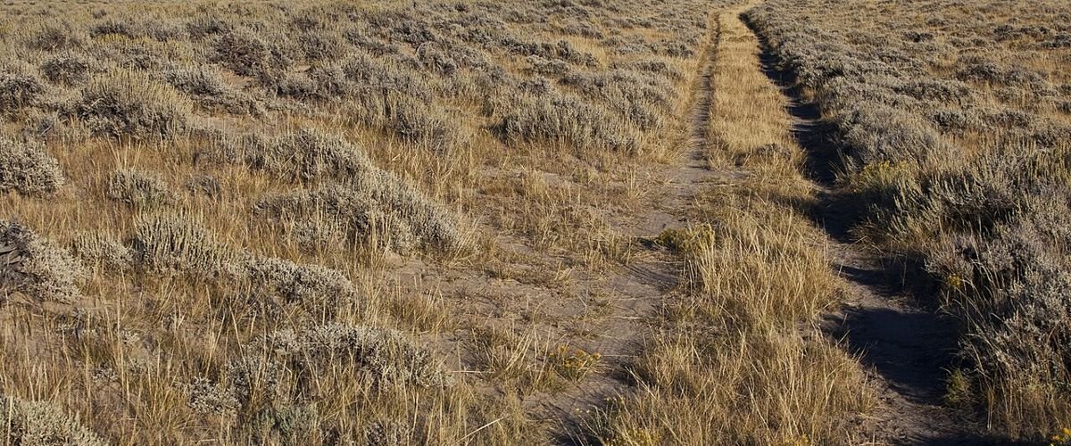 North Dakota landscape