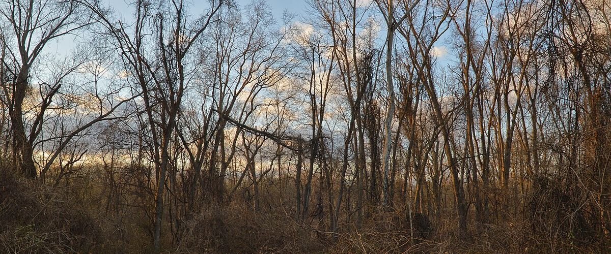 New Jersey landscape