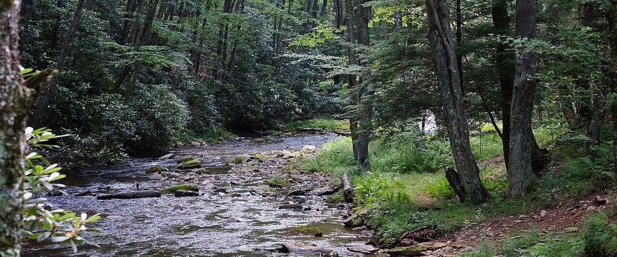 West Virginia landscape